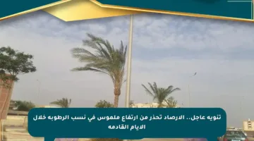 تنويه عاجل.. الأرصاد تحذر من ارتفاع ملموس في نسب الرطوبة خلال الأيام القادمة